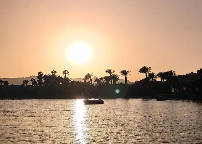 Ocean شقة