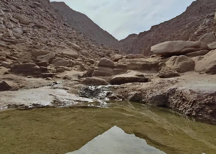 Ocean شقة *